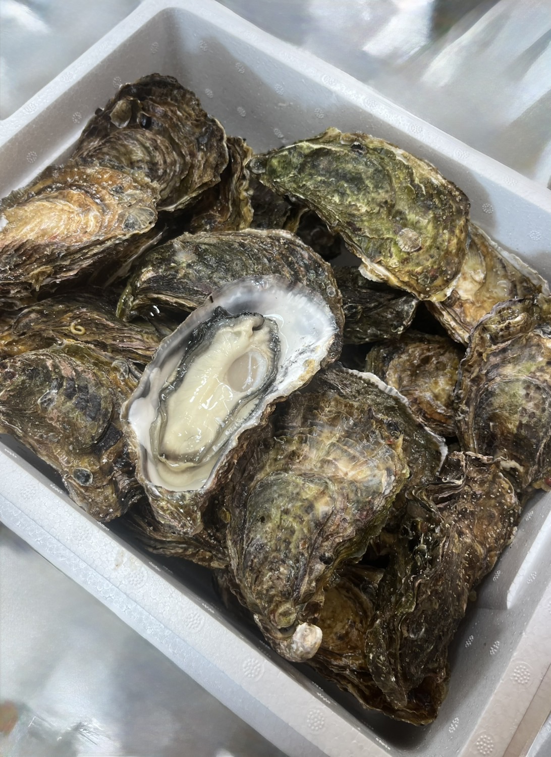 かき小町